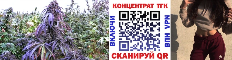 ТГК вейп  MEGA вход  Нолинск 