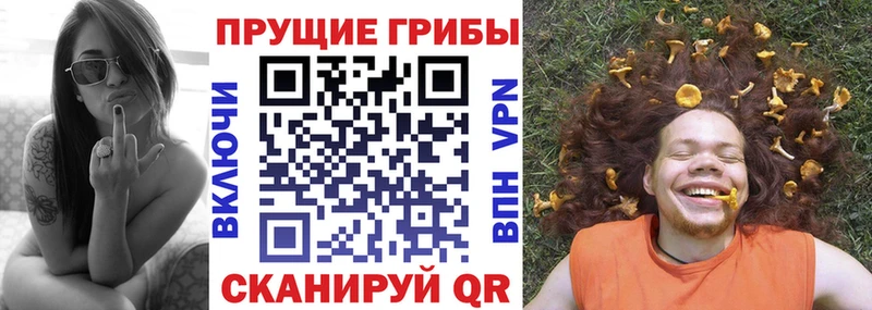 где можно купить   Нолинск  Галлюциногенные грибы мицелий 